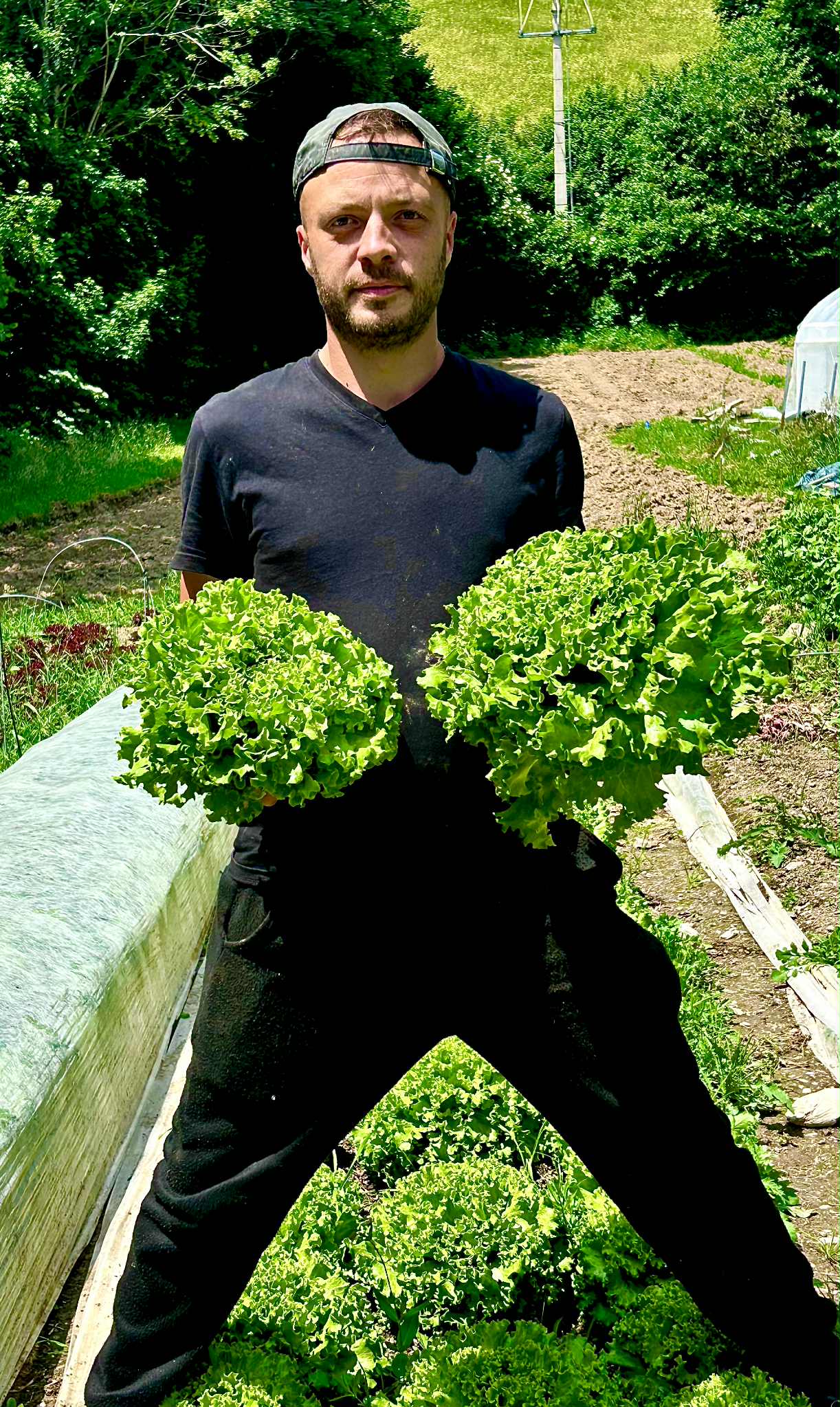 La Mine Aux Légumes